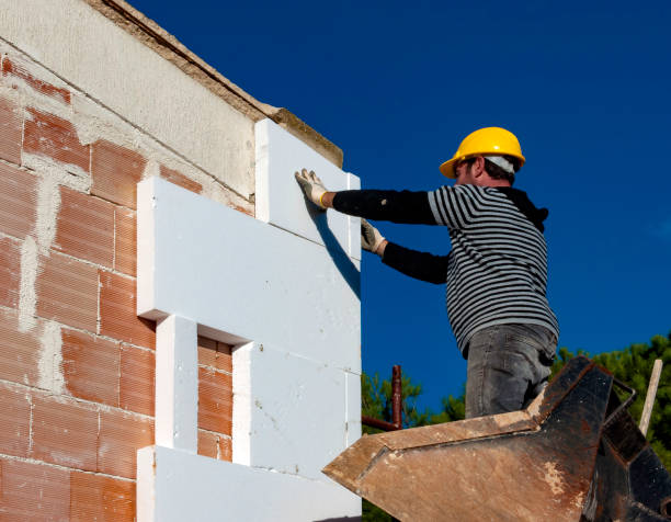 Best Geographic-Specific Insulation Services in Allison, IA
