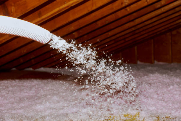 Best Fiberglass Insulation in Allison, IA