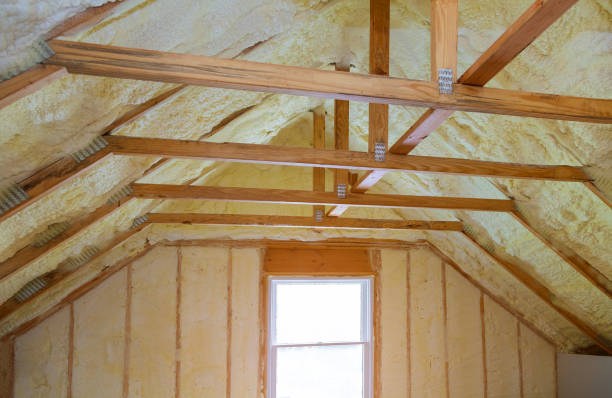 Best Specialized Insulation Services in Allison, IA