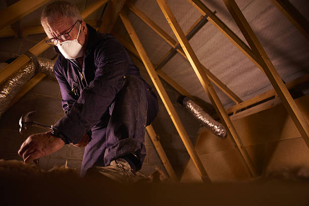 Best Commercial Insulation in Allison, IA